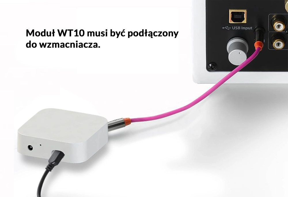 Odtwarzacz sieciowy streamer multiroom WIFI PD WT10